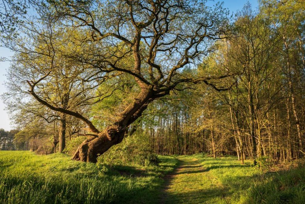 B&B De Scheersehoeve Holthone Kültér fotó